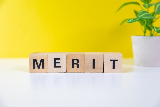 28830971 s - 防犯カメラに音声録音機能を導入する2つのメリット