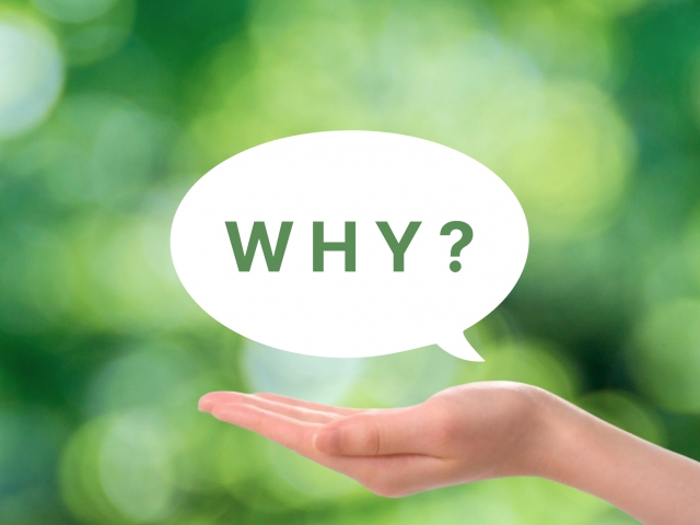 29316860 s - Pythonとはどんな言語？アプリ開発に利用する際の手順も解説