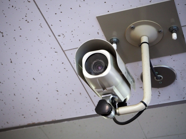 株式会社アヴァリス