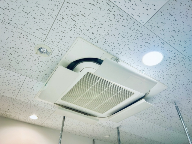 株式会社アヴァリス